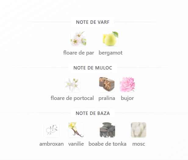 Lattafa Angham Second Song Unisex EDP 100ml – sticlă parfum original [3]