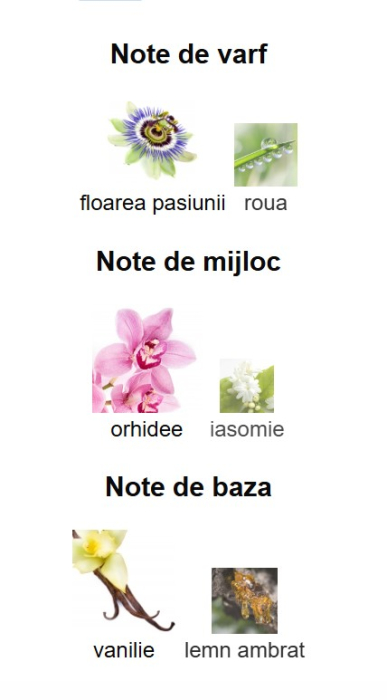 Lattafa Atheeri For Women EDP 100ml [3]