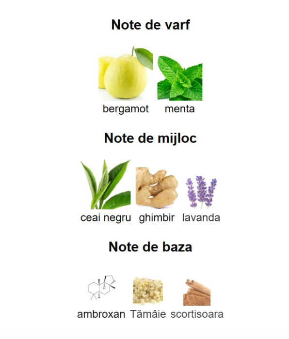 Lattafa Pride Art of Arabia I Unisex EDP 100ml [3]