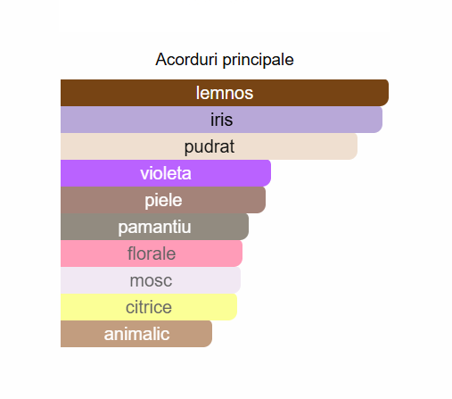 Rayhaan Obsidian Men EDP 100ml [2]