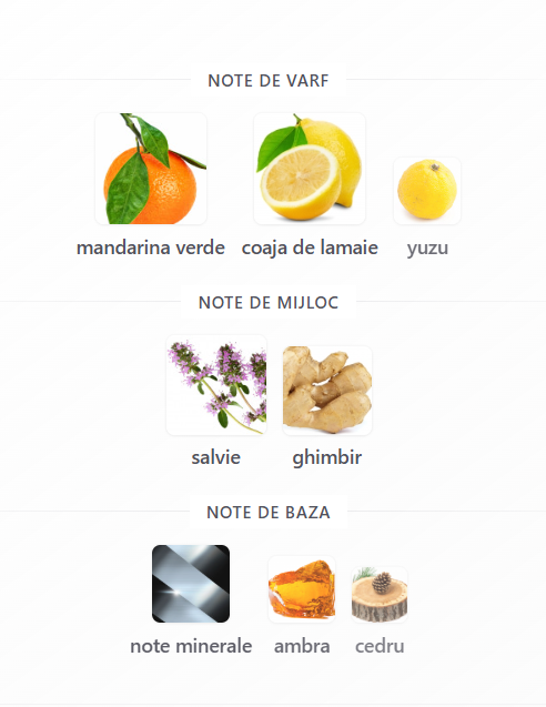 Riiffs Costa de Amalfi parfum bărbați 100ml extrait de parfum [3]