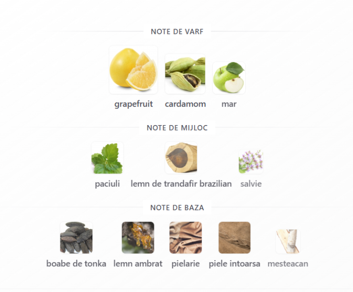 Riiffs Exclusive Prive Mystique Noir EDP unisex 80ml parfum original [3]