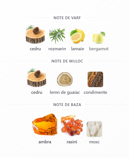 Riiffs Prive Gold EDP unisex 80ml parfum original [3]