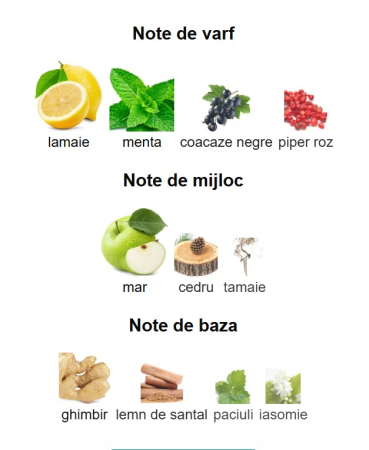 Afnan 9 AM Dive Unisex EDP 100ml [2]