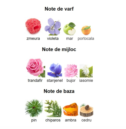 Afnan 9 PM Women EDP 100ml [2]