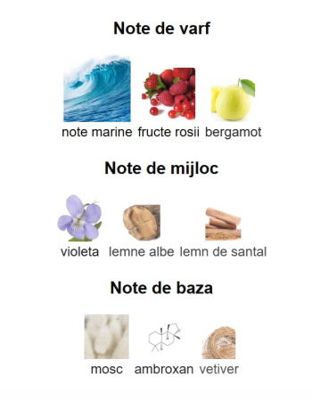 Armaf Club De Nuit Milestone Unisex EDP 105ml [2]