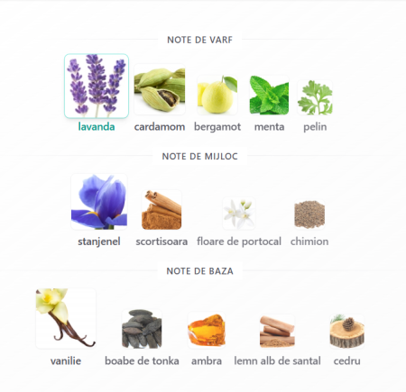 Fragrance World John Gustav Homme Scandant Men EDP 100ml [2]