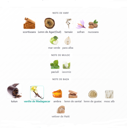 Fragrance World Montera Rouge Tobacco Men EDP 100ml parfum barbati tutun [2]