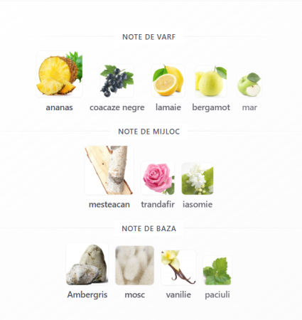 Fragrance World Nuit Men EDP 100ml [2]