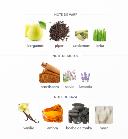 Fragrance World Proud Of You Intense Men EDP 100ml parfum barbati [2]