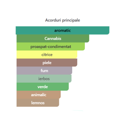 Fragrance World Star Bad Lad Le Parfum Men EDP 100ml parfum barbati [1]