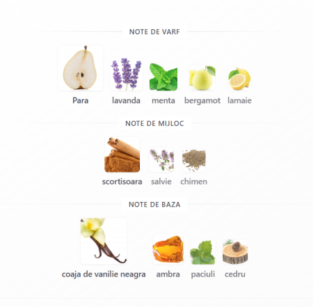 Fragrance World  Urban Man Ultra  Men EDP 100ml [2]