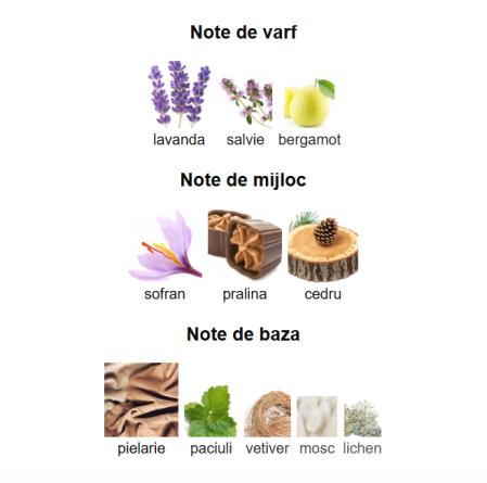 French Avenue An Equestrian Series Della Women EDP 100ml [2]