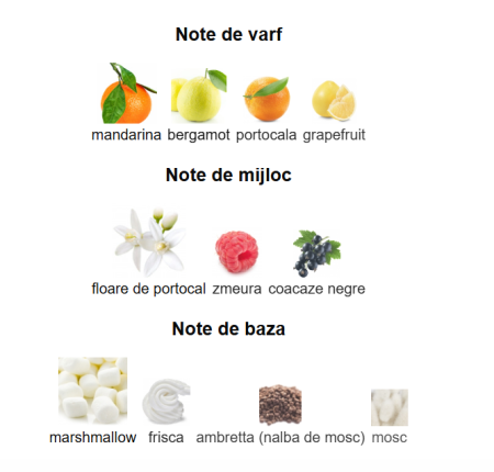 French Avenue An Equestrian Series Olena Women EDP 100ml [2]