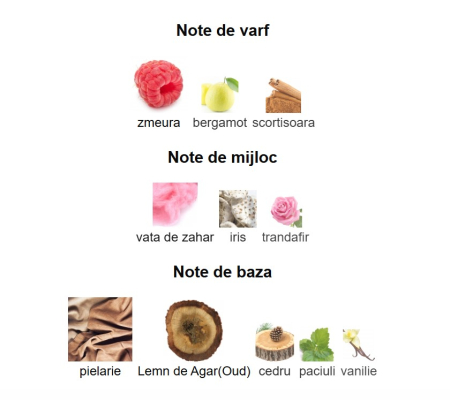 French Avenue Aromatix Carnal Desire Unisex PARFUM 100ml [2]