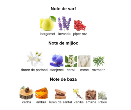 French Avenue Aromatix Magnetiq Unisex PARFUM 100ml [2]