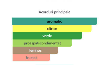 French Avenue Aromatix Platine Blanc Extrait de Parfum 100ml – Parfum Arabesc Original [1]