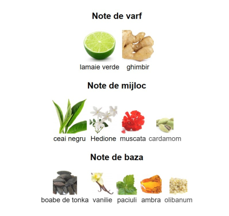 French Avenue Aromatix Teas Me Unisex PARFUM 100ml [2]