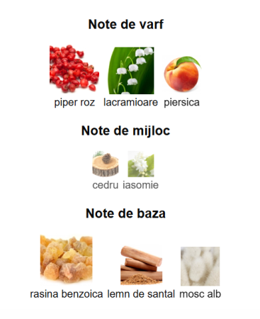 French Avenue Diwani Beirut Unisex EDP 100ml [2]