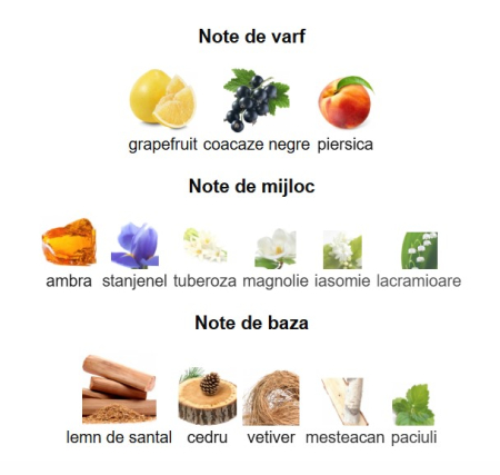 French Avenue Diwani Rabat Unisex EDP 100ml [2]