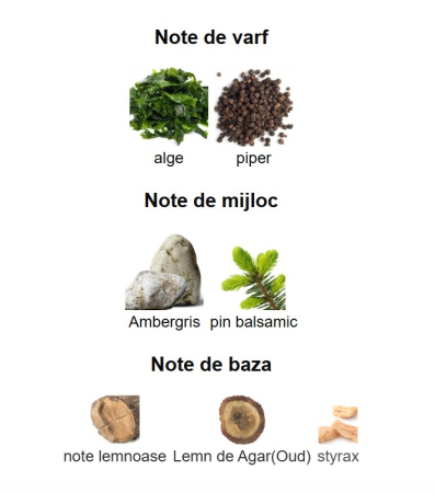 French Avenue Genesis Aquarius Unisex EDP 90ml [2]