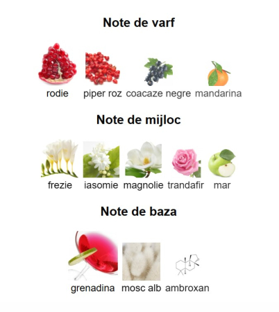 French Avenue Genesis Aries Unisex EDP 90ml [2]