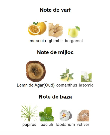 French Avenue Genesis Virgo Unisex EDP 90ml [2]