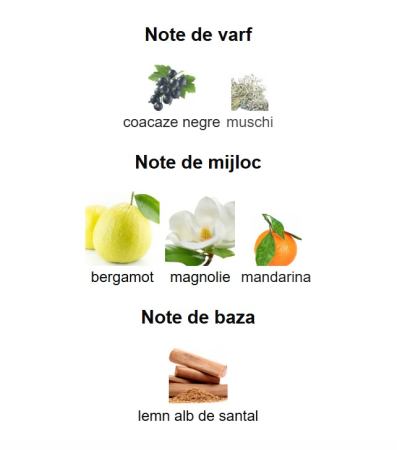 French Avenue Glorious Oud Royal Blanc Unisex EDP 80ml [2]