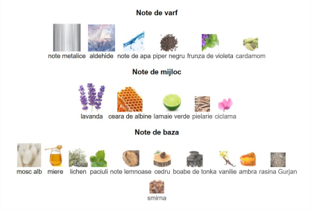 French Avenue Moon Stone Blue Unisex EDP 100ml [2]