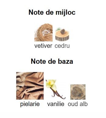 French Avenue Moon Stone Noire Unisex EDP 100ml [2]