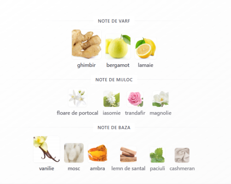 French Avenue Ravine Ginger Unisex EDP 100ml [2]