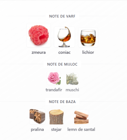 French Avenue Royal Blend Sequoia Extrait de Parfum Unisex 100ml – Sticlă Parfum Original [2]