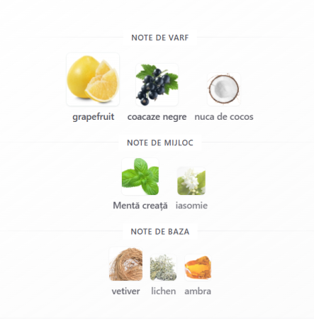 French Avenue Safari Breeze Unisex EDP 100ml [2]