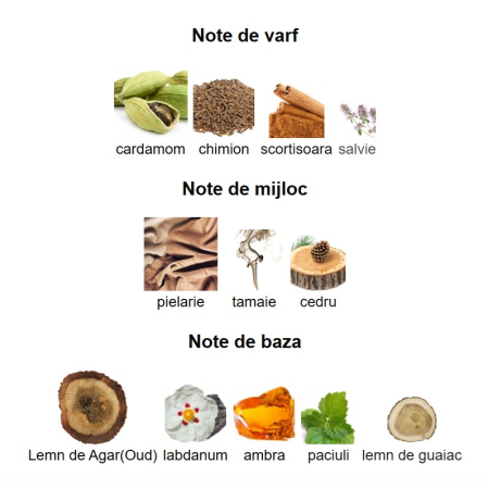 French Avenue Sultan The Conqueror Unisex EDP 100ml [2]