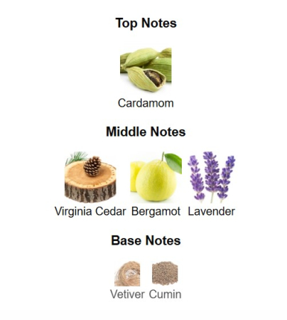 French Avenue  The Night [2]