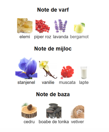 French Avenue Thunder Men EDP 100ml [2]