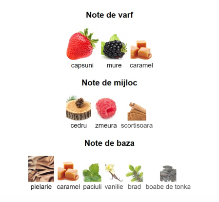 French Avenue Veneno Scarlet Unisex EDP 100ml [2]