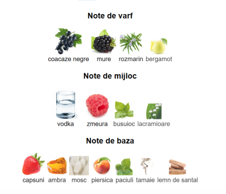 French Avenue Vulcan Baie Unisex EDP 100ml [2]