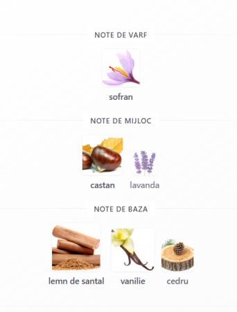 French Avenue Zenith Santal Unisex EDP 100ml – sticlă parfum original [2]