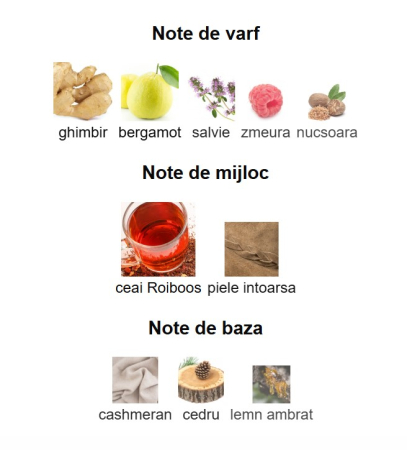 Lattafa Dynasty Unisex EDP 100ml [2]