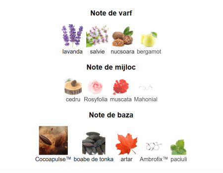 Lattafa Musamam Black Intense Men EDP 100ml [2]