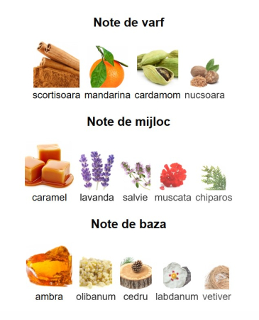 Lattafa Qaed Al Fursan Untamed Unisex EDP 90ml [2]