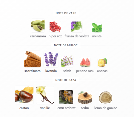 Maison Alhambra Your Touch For Men Men EDP 30ml [2]