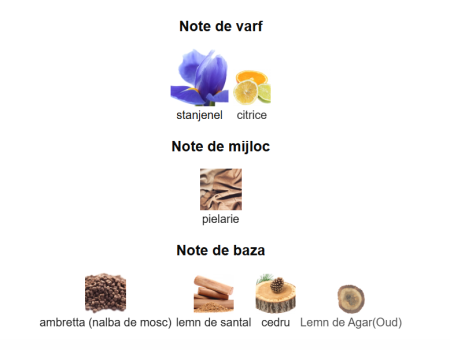 Rayhaan Obsidian Men EDP 100ml [2]