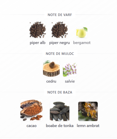 Riiffs   Carbon Noir  EDP   Men  100ml [2]