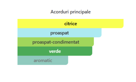 Riiffs Freeze Bărbați Extrait de Parfum 100ml – parfum original masculin [1]