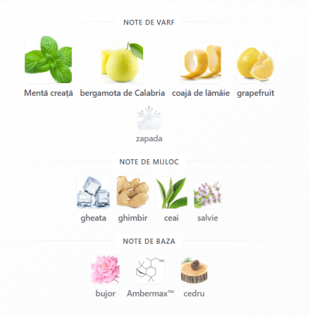 Riiffs Freeze Bărbați Extrait de Parfum 100ml – parfum original masculin [2]