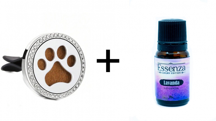 Labute de catel + Essenza Lavanda [1]