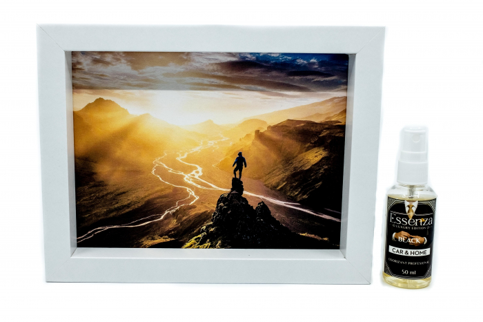 Odorizant casa si birou Essenza Black 50 ml  + Tablou absorbant Chasing the Light [1]