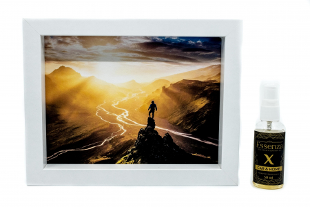 Seturi cadou - Odorizant casa si birou Essenza X 50 ml  + Tablou absorbant Chasing the Light